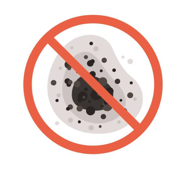 Best Air Quality Testing for Mold Spores  in East Pittsburgh, PA